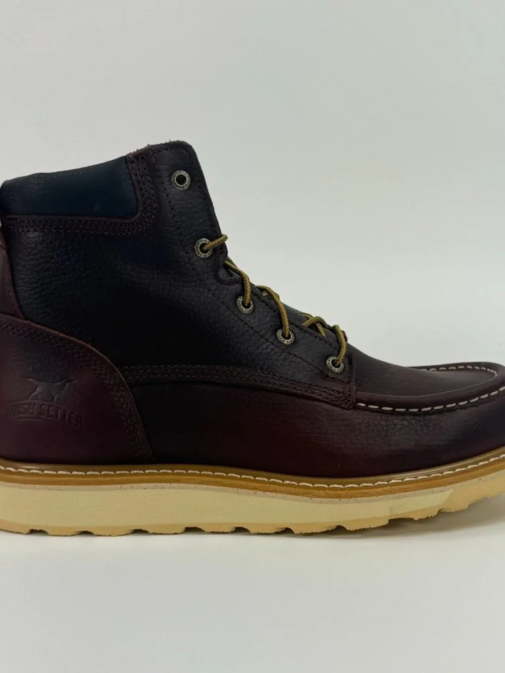 Irish Setter Ashby 6
